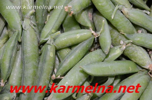 خضار وفواكة ربيع ابو الزلف